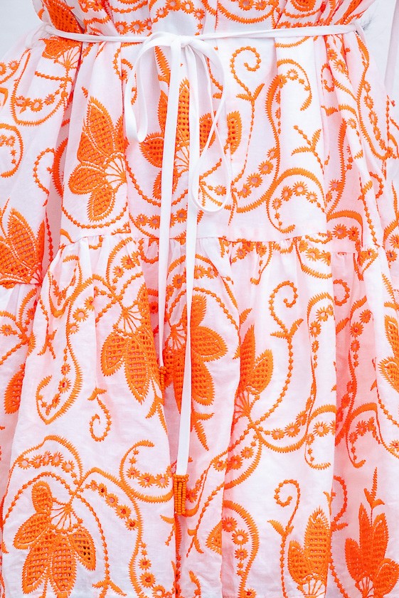 V-neck Floral Embroidered Mini Dress