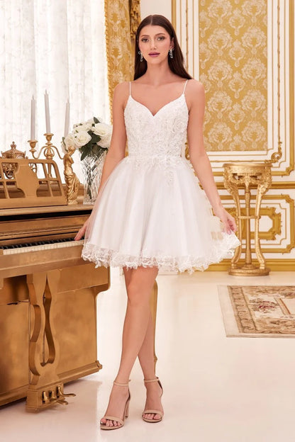 SHORT A-LINE LACE & TULL MINI PARTY DRESS