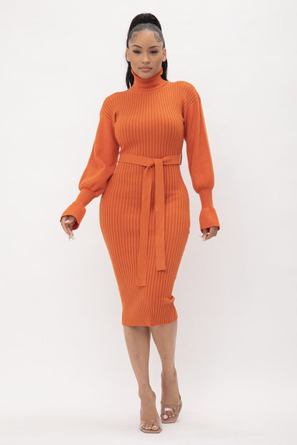 TURTLE NECK RIBBED MIDI Knit DRESS LONG SLEEVE BELTED