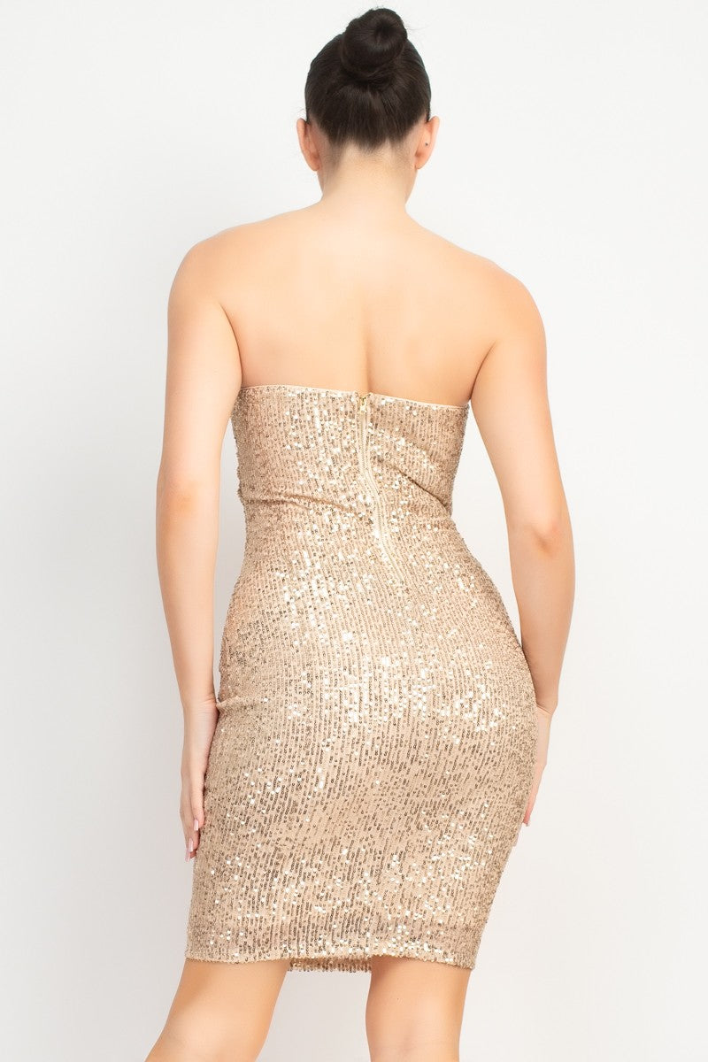 Sequin Bodycon Zippered Tube Mini Party Dress
