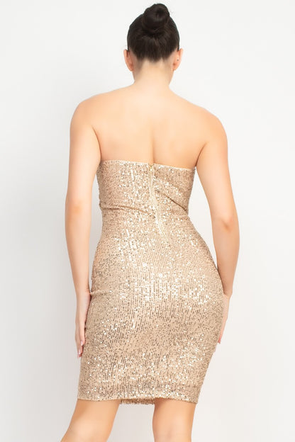 Sequin Bodycon Zippered Tube Mini Party Dress