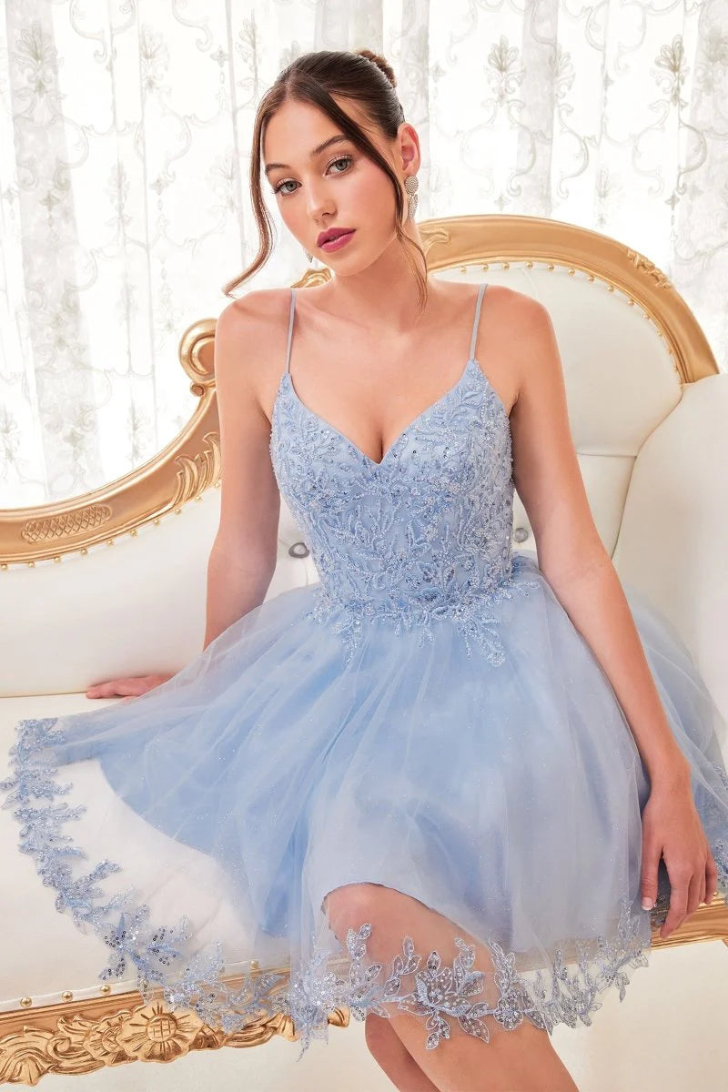 SHORT A-LINE LACE & TULL MINI PARTY DRESS