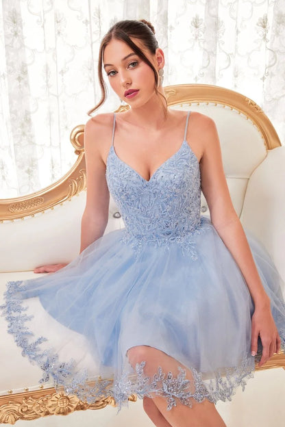 SHORT A-LINE LACE & TULL MINI PARTY DRESS