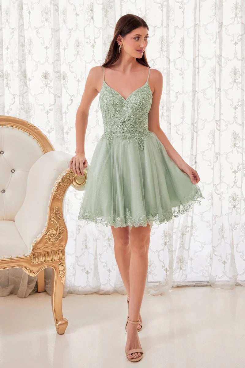 SHORT A-LINE LACE & TULL MINI PARTY DRESS