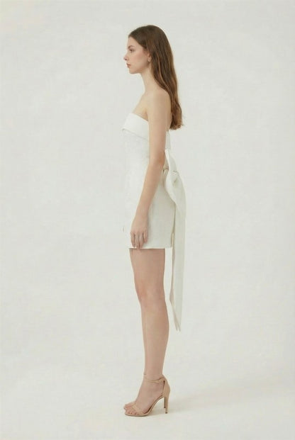 BACK BOW DETAIL PRINTED JACQUARD TUBE BODYCON MINI PARTY DRESS