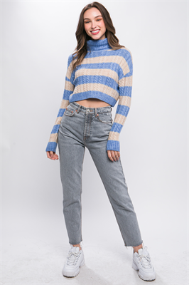 Turtleneck Striped Knit Cropped Sweater