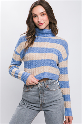 Turtleneck Striped Knit Cropped Sweater