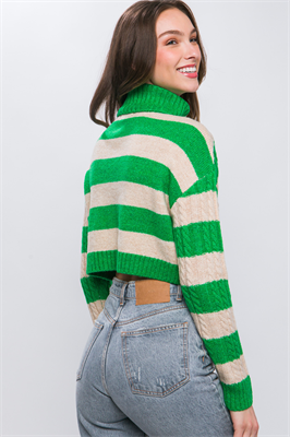 Turtleneck Striped Knit Cropped Sweater