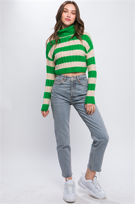 Turtleneck Striped Knit Cropped Sweater