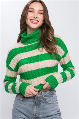 Turtleneck Striped Knit Cropped Sweater