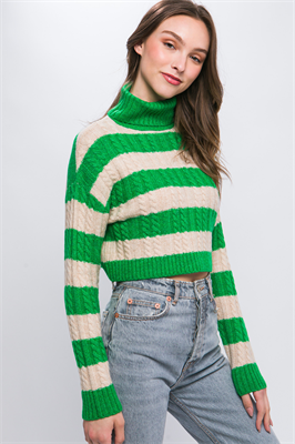 Turtleneck Striped Knit Cropped Sweater