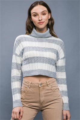 Turtleneck Striped Knit Cropped Sweater