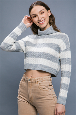 Turtleneck Striped Knit Cropped Sweater