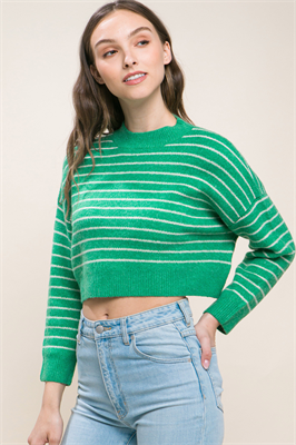 Cropped Stripe Knit Pullover Sweater