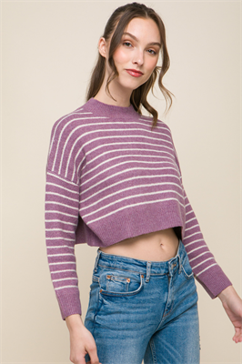 Cropped Stripe Knit Pullover Sweater