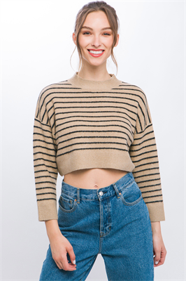 Cropped Stripe Knit Pullover Sweater