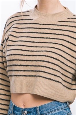 Cropped Stripe Knit Pullover Sweater