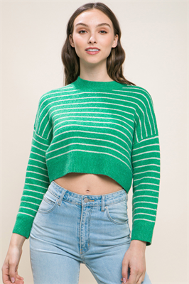 Cropped Stripe Knit Pullover Sweater