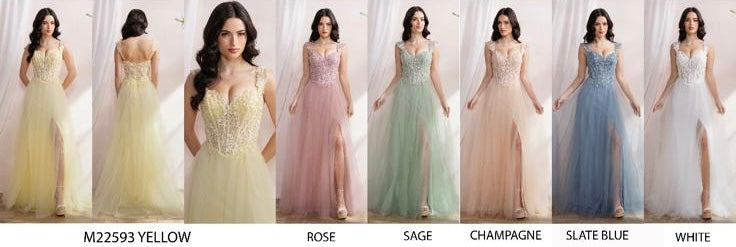 BEADED APPLIQUE TOP WITH BONING AND ZIPPER BACK A-LINE MESH DRESS