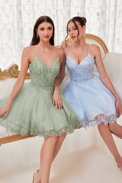 SHORT A-LINE LACE & TULL MINI PARTY DRESS